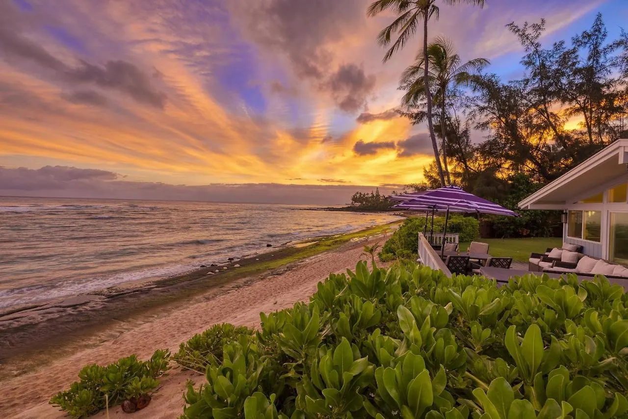 Sea Turtle Ranch Home Haleiwa
